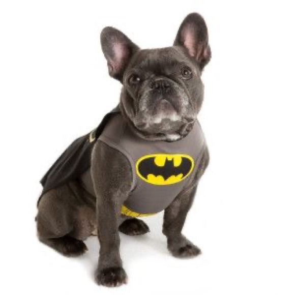 DC Comics Batman Pet Costume (M) - NWT 🐶🐾 - Picture 3 of 11